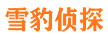 洛龙市侦探